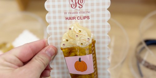 NEW Frasier Sterling Hair Clips, Puffer Pouches, & More from $10 at Target!