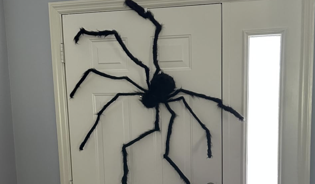 This Giant Posable Spider is Creepy, Hairy, & Only $8.99 on Amazon