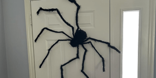 This Giant Posable Spider is Creepy, Hairy, & Only $8.99 on Amazon