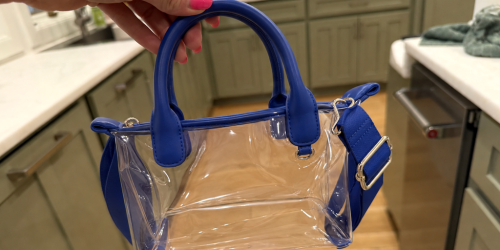 These NEW Clear Mini Tote Bags on Walmart.com May Sell Out