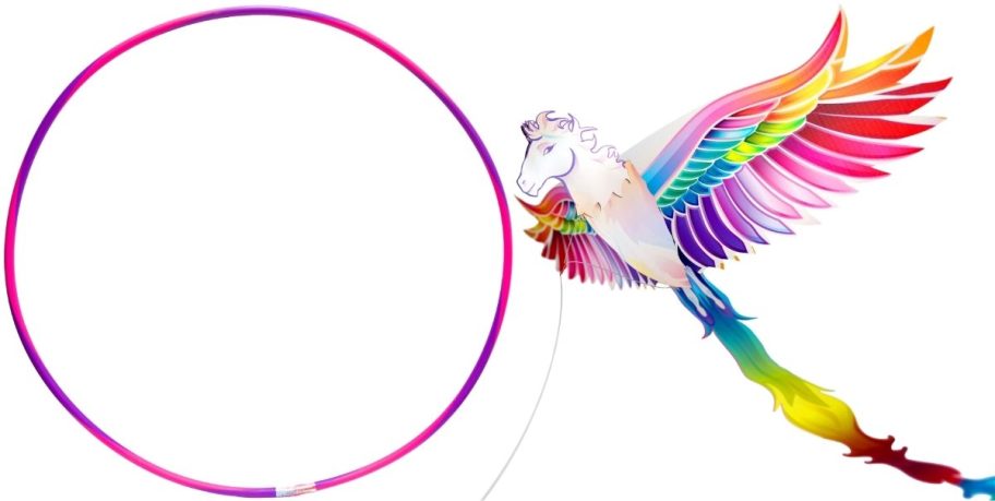 hoola hoop and parrot kite