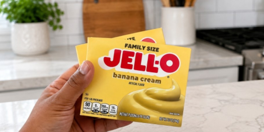 Jell-O Family Size Pudding & Gelatin Mixes from $1.24 Shipped on Amazon