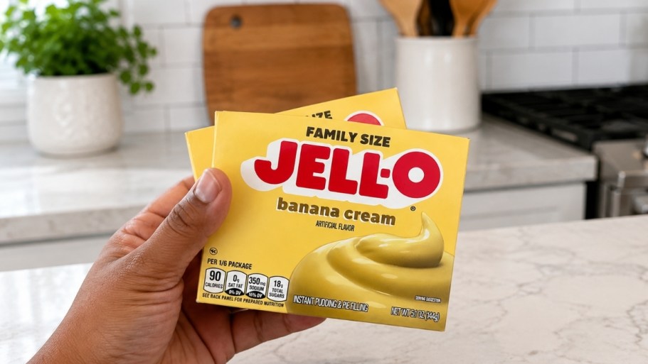 Jell-O Family Size Pudding & Gelatin Mixes from $1.24 Shipped on Amazon