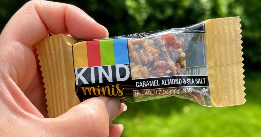 hand holding a Kind Minis bar