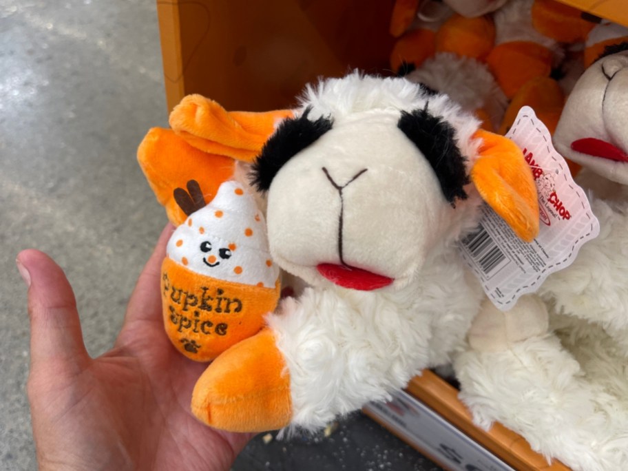 holding a lambchop dog toy