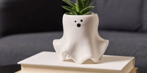 LiveTrends Ghastly Assorted Succulent Pots Just $9.98 Each at Lowe’s