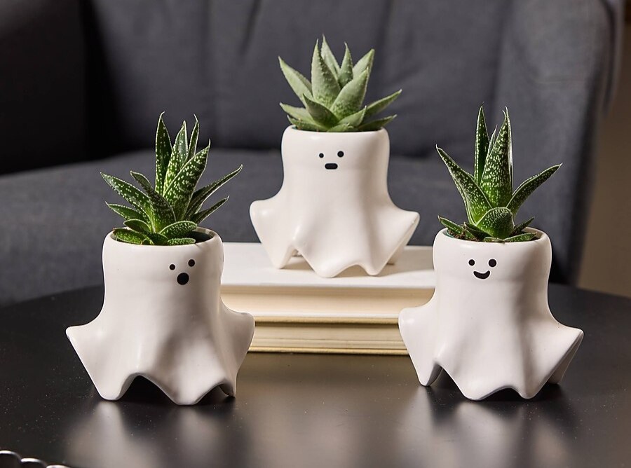 three ghost planters with succulents on table