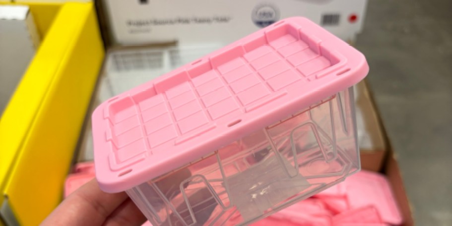 Viral Pink Teeny Totes Only $1.98 Shipped on Lowes.com