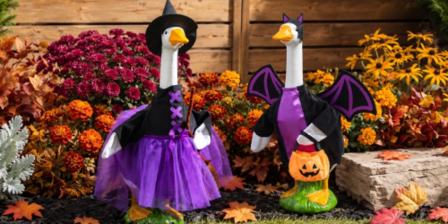 Keep Your Porch Goose Festive All Year With These Seasonal Outfits
