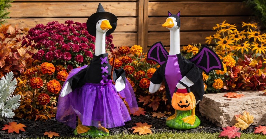 Keep Your Porch Goose Festive All Year With These Seasonal Outfits