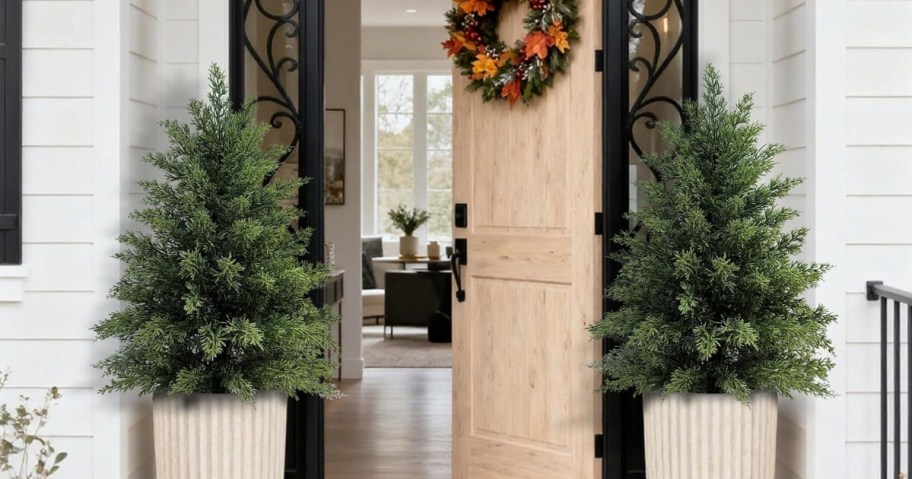 two evergreen topiaries on a front porch 