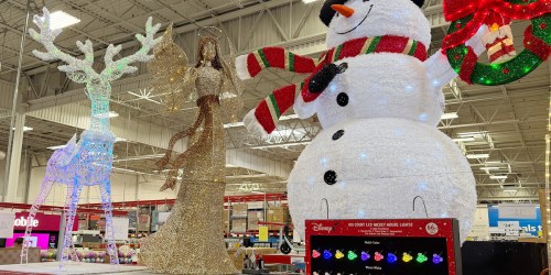NEW Sam’s Club Christmas Decor Just Dropped & It’s Going Fast!