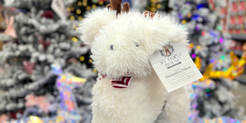 Walmart’s My Texas House Christmas Drop Is HERE – Pillows From Just $8!