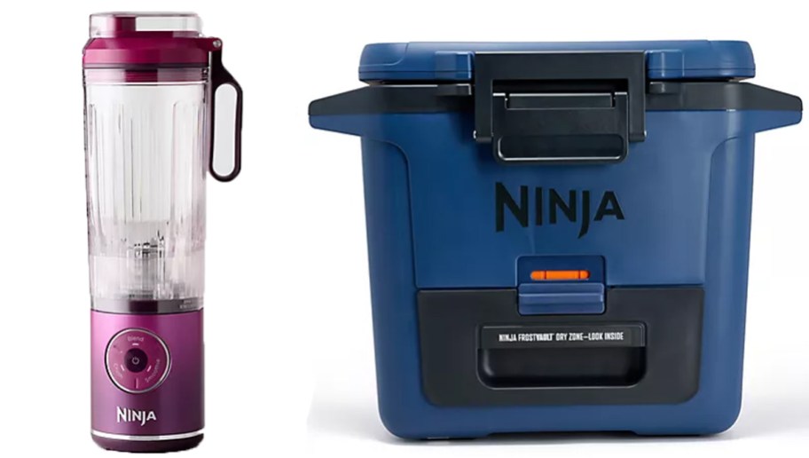 purple blender and blue and black cooler
