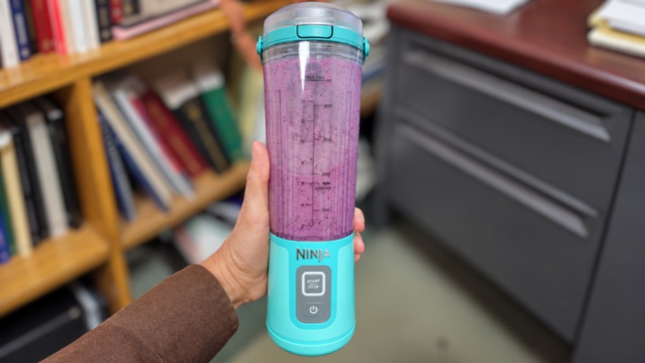a hand holding a portable blender