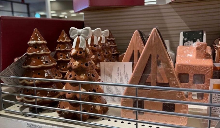 paint your own gingerbread house
