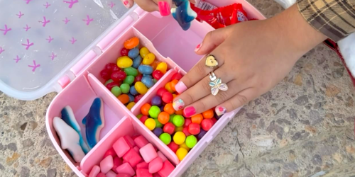 Paris Hilton Snack Boxes 2-Pack Only $12 on Amazon (Just $6 Each)