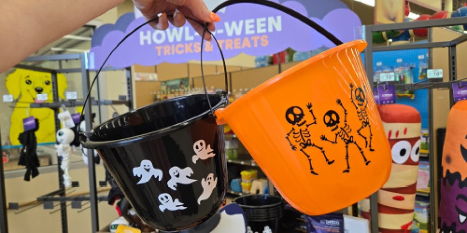 Trick or Treat? These Petco Halloween Buckets Are Definitely a Treat!