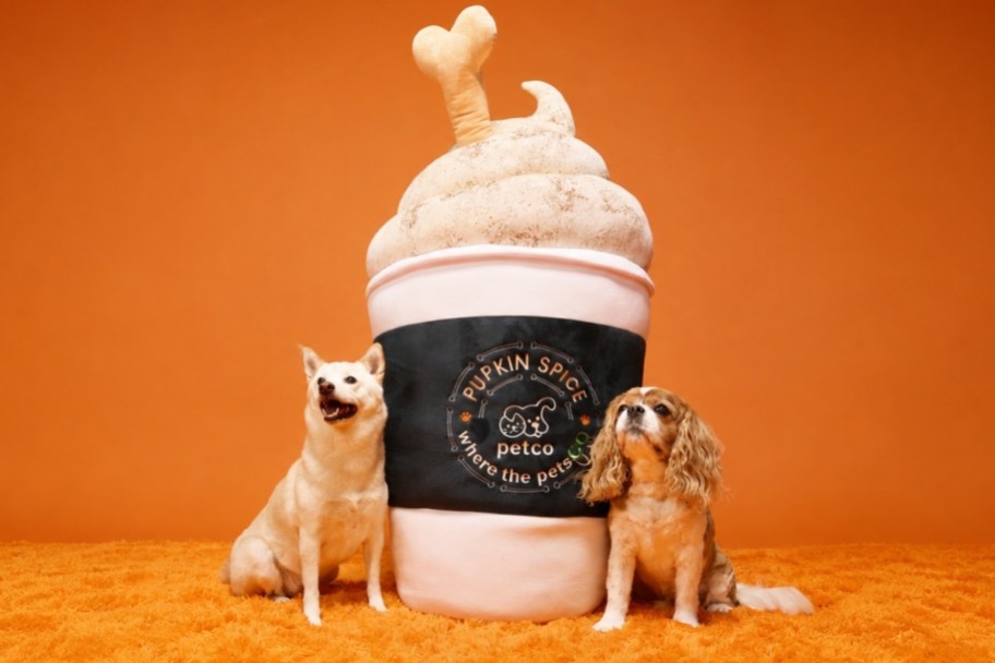 two dogs with a giant petco pumpkin spice latte plush