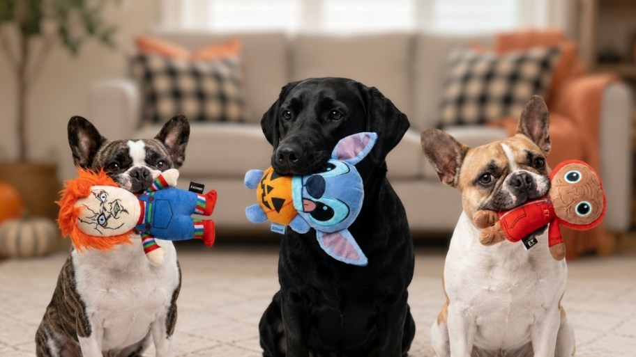 3 dogs with plush character dog toys in their mouths