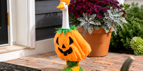 Keep Your Porch Goose Holiday-Ready All Year w/ These Cute Outfits