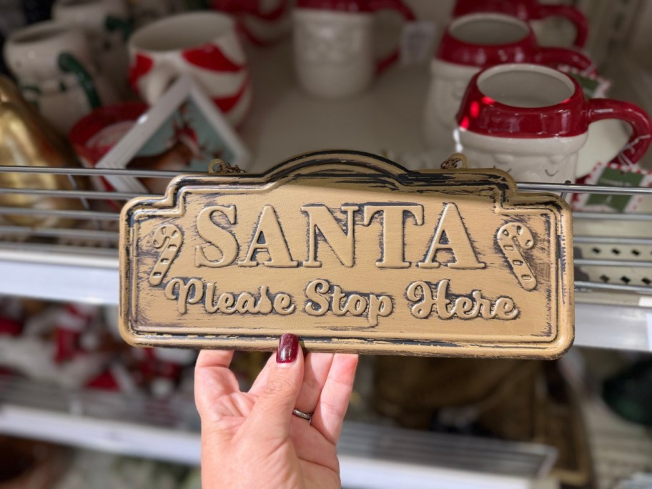 hand holding santa sign