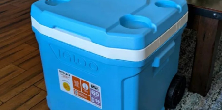 50% Off Sun Squad Coolers on Target.com