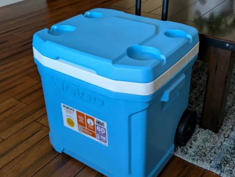 50% Off Sun Squad Coolers on Target.com