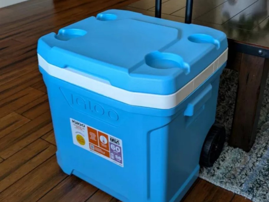 blue cooler