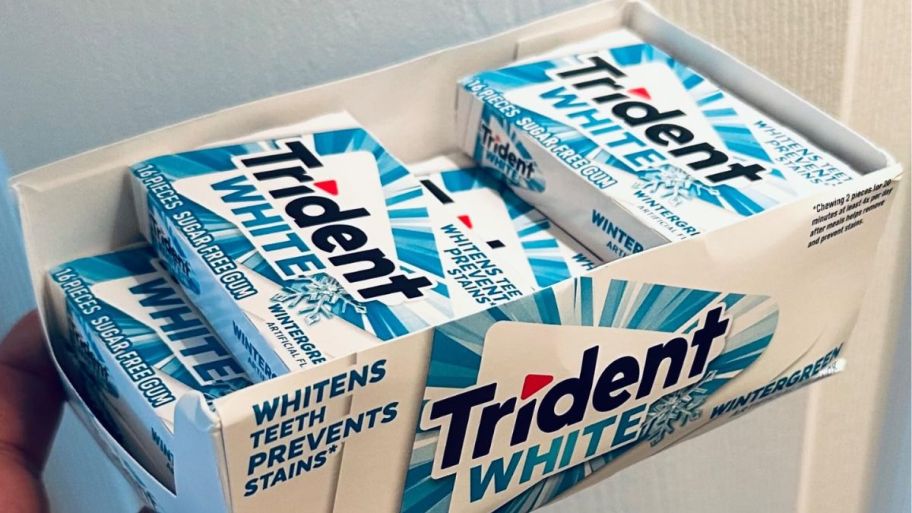 hand holding trident box