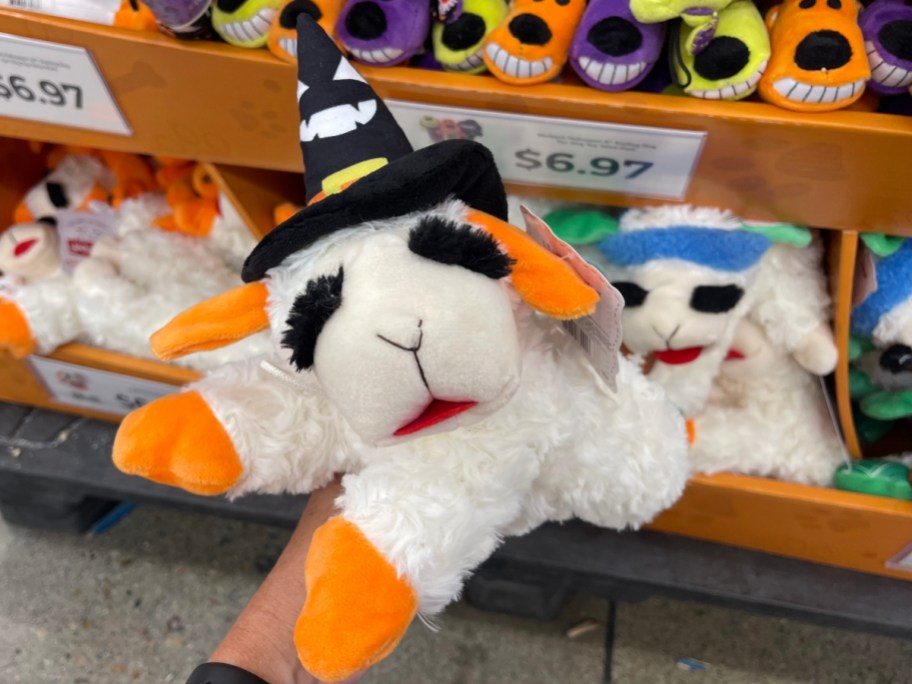holding Lamchop dog toy wearing a witch hat