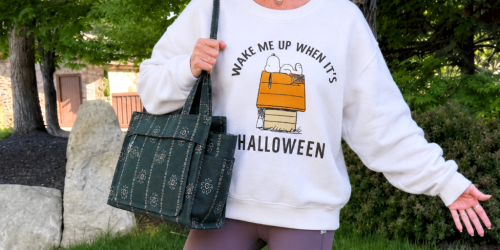 Up to 70% Off American Eagle Sale (Includes New Fall Clothing & Jeans!)