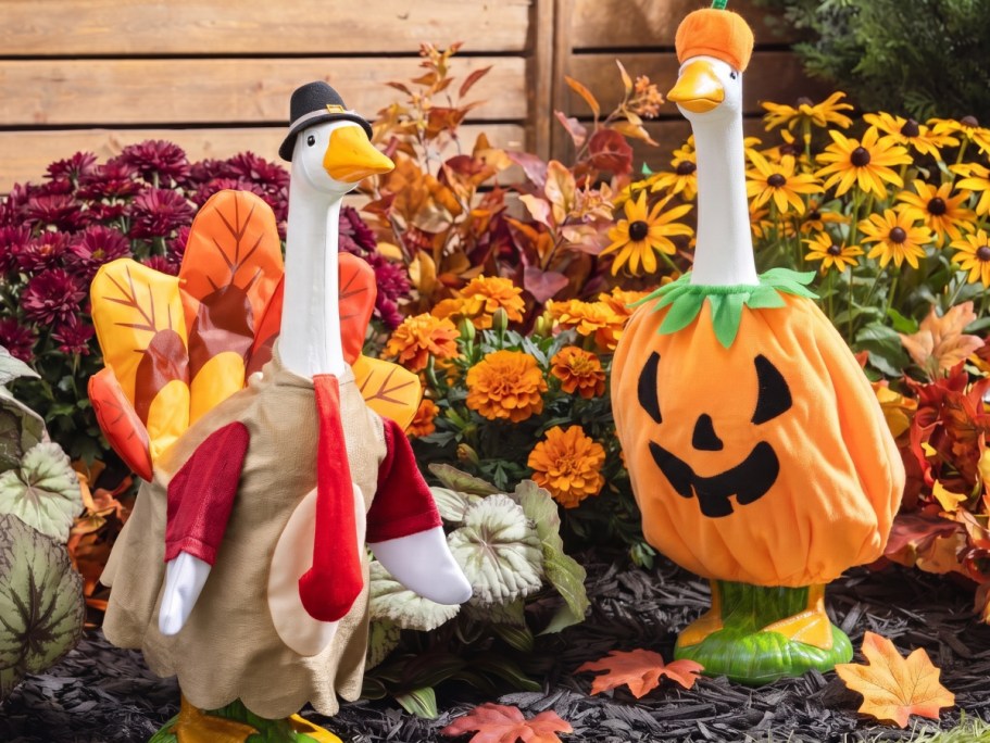 Keep Your Porch Goose Holiday-Ready All Year w/ These Cute Outfits
