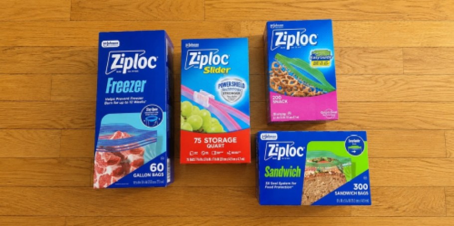 Ziploc Variety Bundle 635-Count Only $19.75 Shipped on Amazon (Reg. $38)