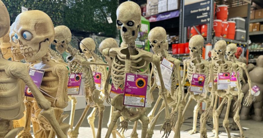 3' LED Skelly at Home Depot