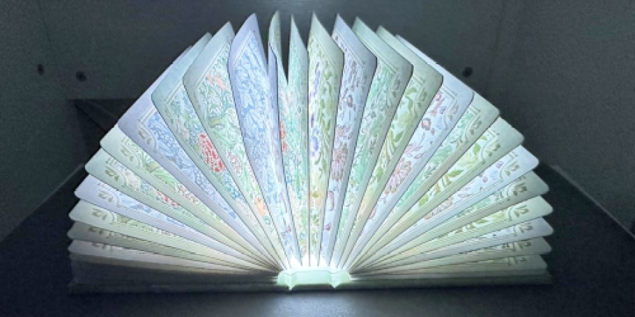 Book Lamp Just $14.99 on Amazon (Reg. $30) | Unique Gift Idea