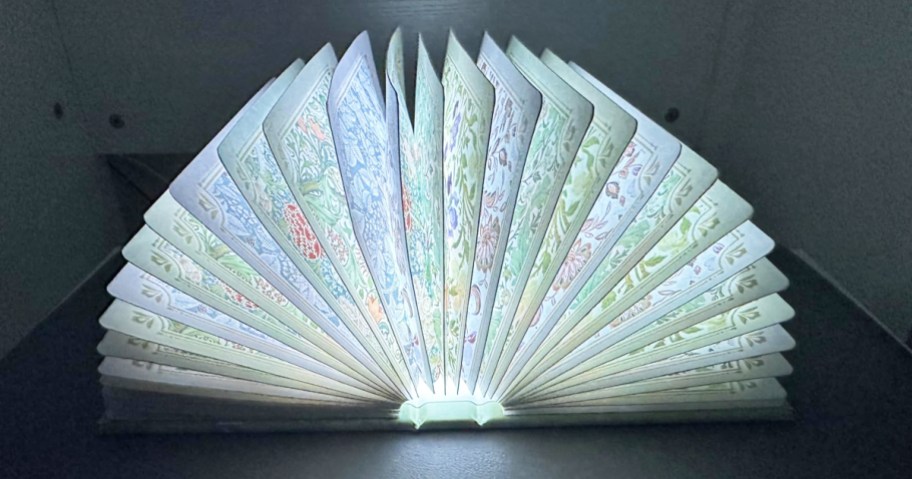 lamp that looks like a book with floral print pages