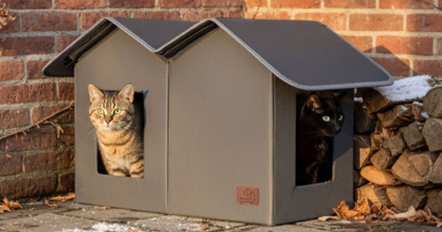 Weatherproof Outdoor Cat House Only $34.99 Shipped on Amazon (Reg. $60)