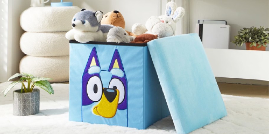 Bluey Storage Ottoman Only $15 on Walmart.com (Reg. $43)