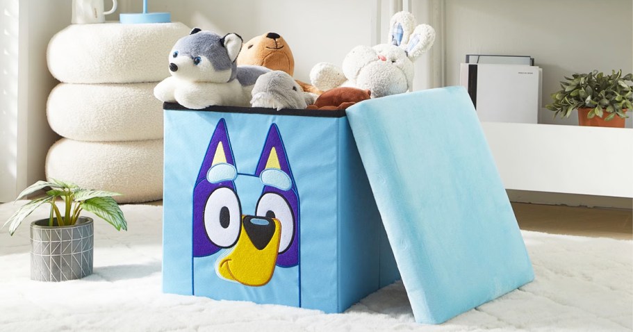 Bluey Storage Ottoman Only $15 on Walmart.com (Reg. $43)