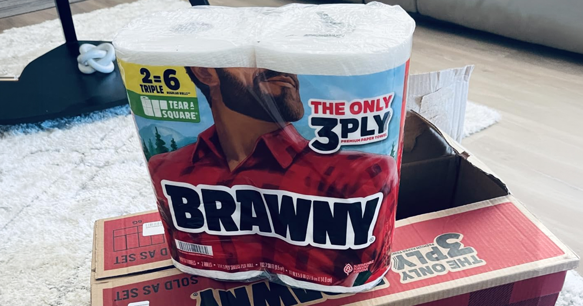SIX Brawny Paper Towels Double Rolls