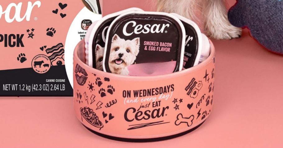 FREE Cesar Dog Food Pink Pack Today at 11AM EST (Will Go Quickly!)