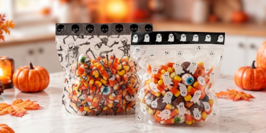 New Halloween Food Storage & Treat Bags from $2.99 on Target.com