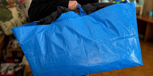 Large Moving Tote Bag 2-Pack Possibly Just $4.79 at Home Depot (Reg. $8)