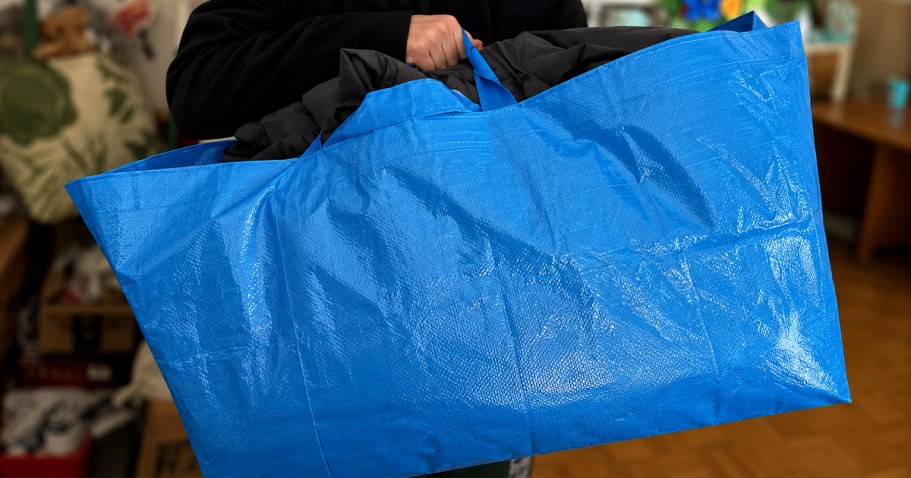 Large Moving Tote Bag 2-Pack Possibly Just $4.79 at Home Depot (Reg. $8)
