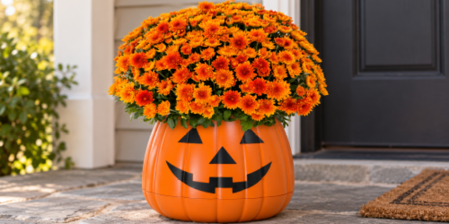 Walmart’s Live Mum Pumpkin Planter Is The Perfect Fall Porch Decor!