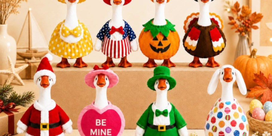 Desk Goose Outfits 8-Pack Just $21.49 Shipped on Amazon (Reg. $43)