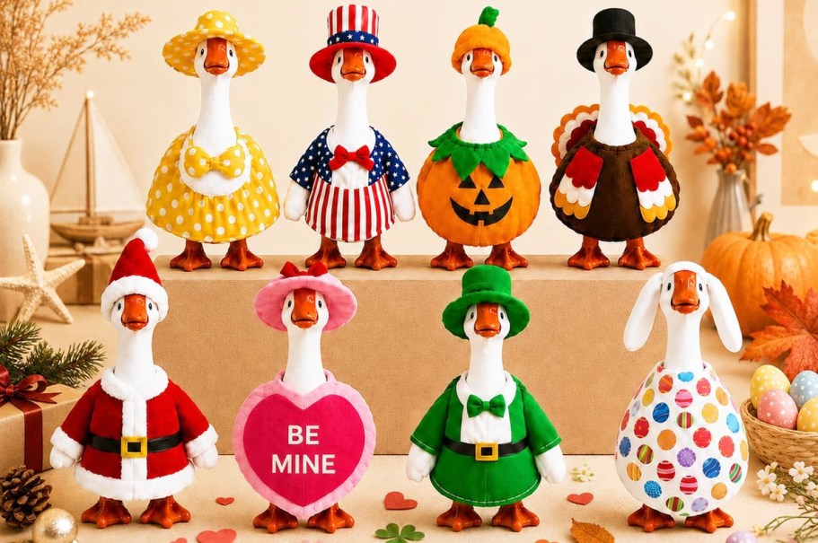 Desk Goose Outfits 8-Pack Just $21.49 Shipped on Amazon (Reg. $43)