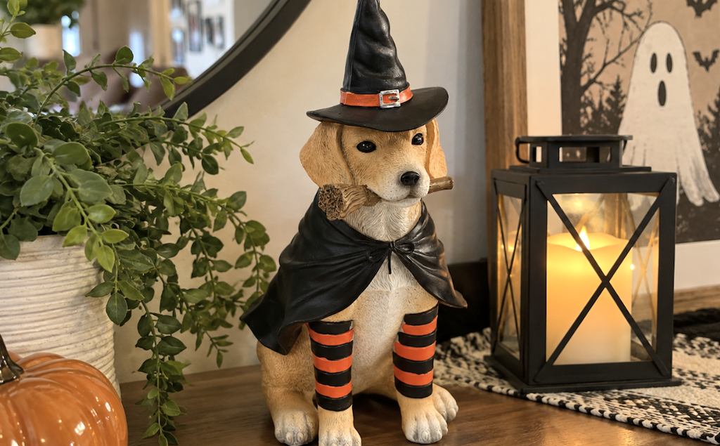 GO! Halloween Decor UNDER $10 + FREE Shipping on Marshalls.com