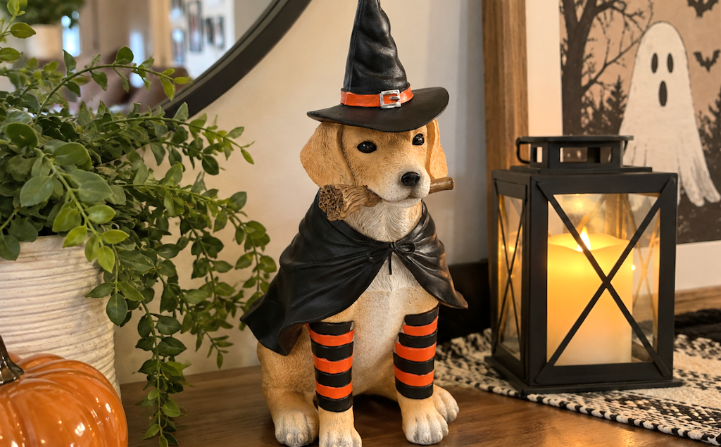 Halloween dog